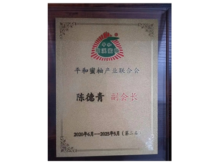 资质证书